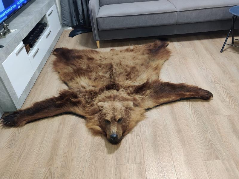 ����� ������ ����������� �������