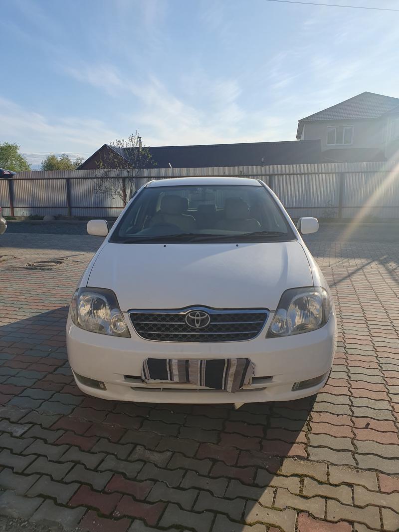 Toyota Corolla, 2003