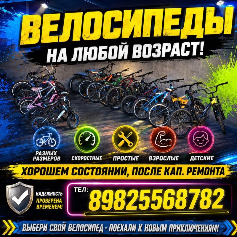 �/� ����������