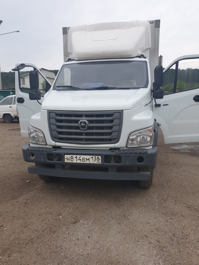 Газон Некст