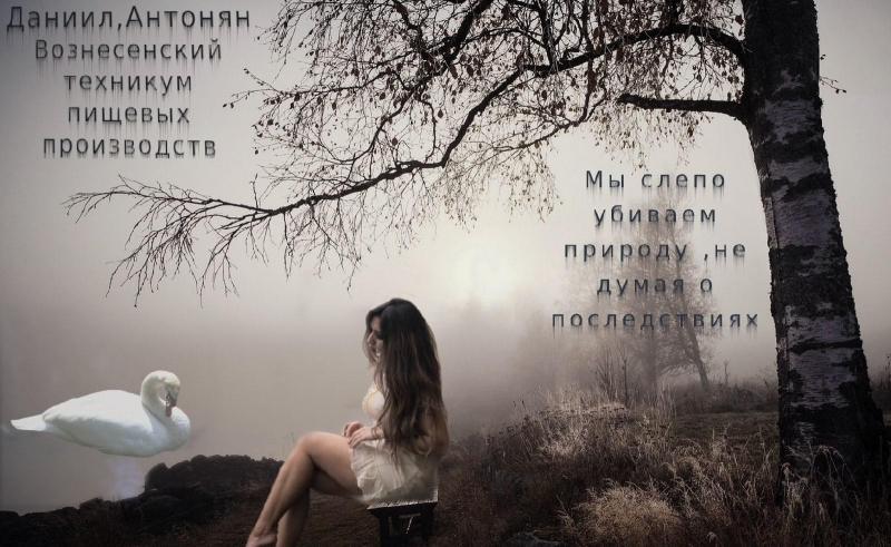 Создание,колаж, и всяческих красивостий на фото