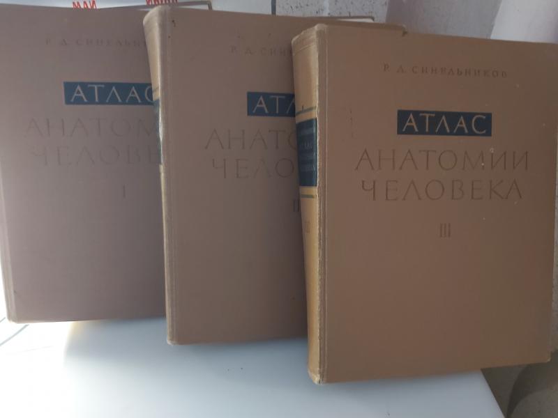 Атлас анатомии человека в 3 томах. Синельников