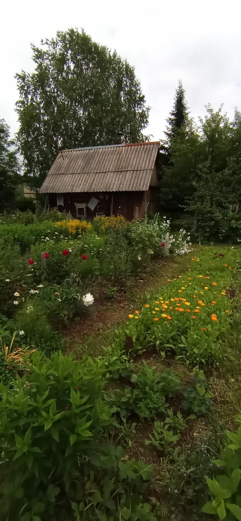 Краснокамский р-он, с/т 33 "Луч"