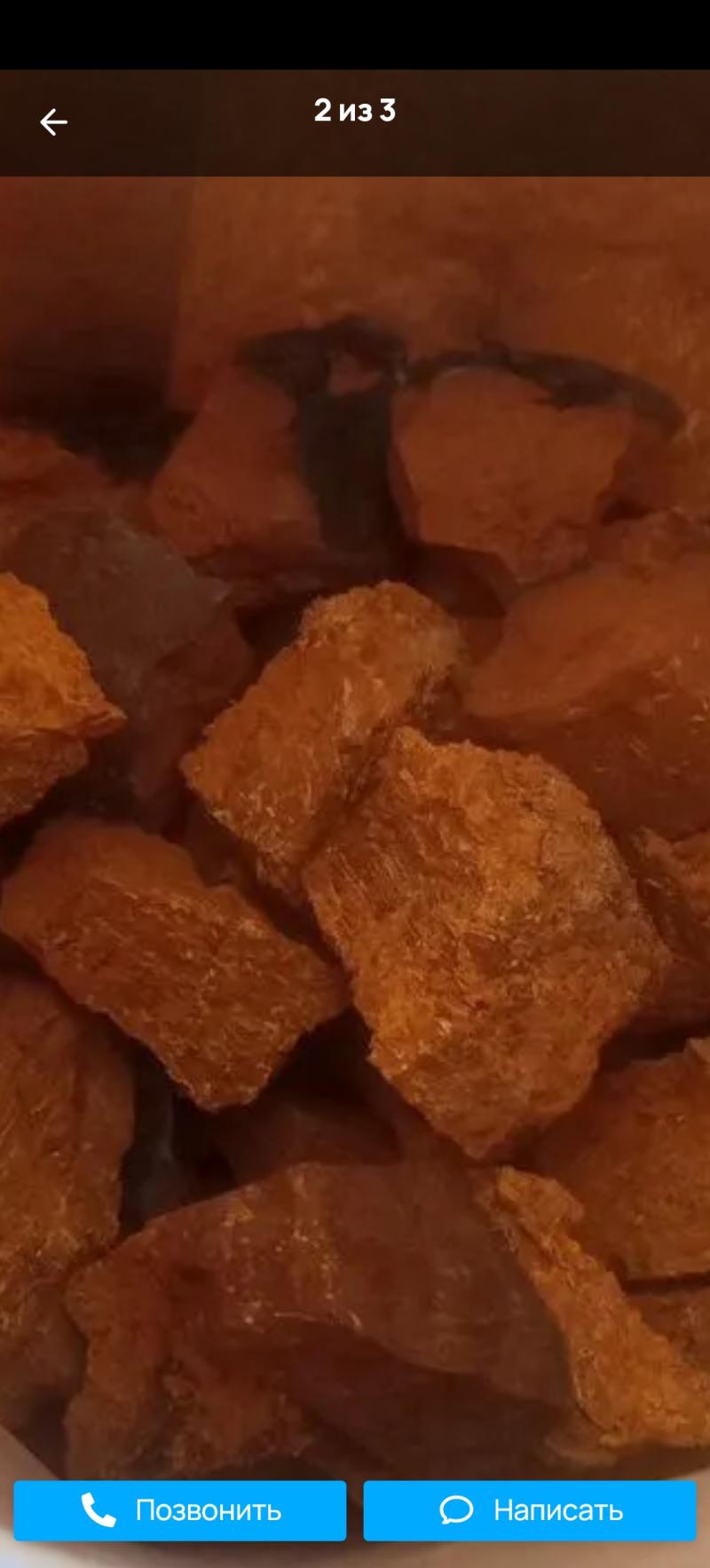 ЧАГА березовая лечебная