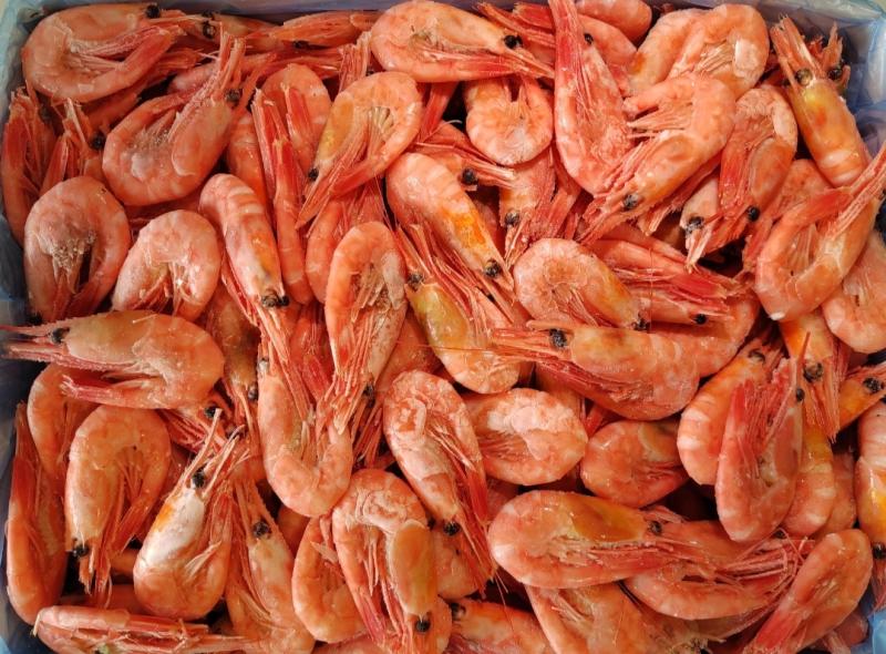 Северные креветки отборные без льда из Мурманска и другие морепродукты