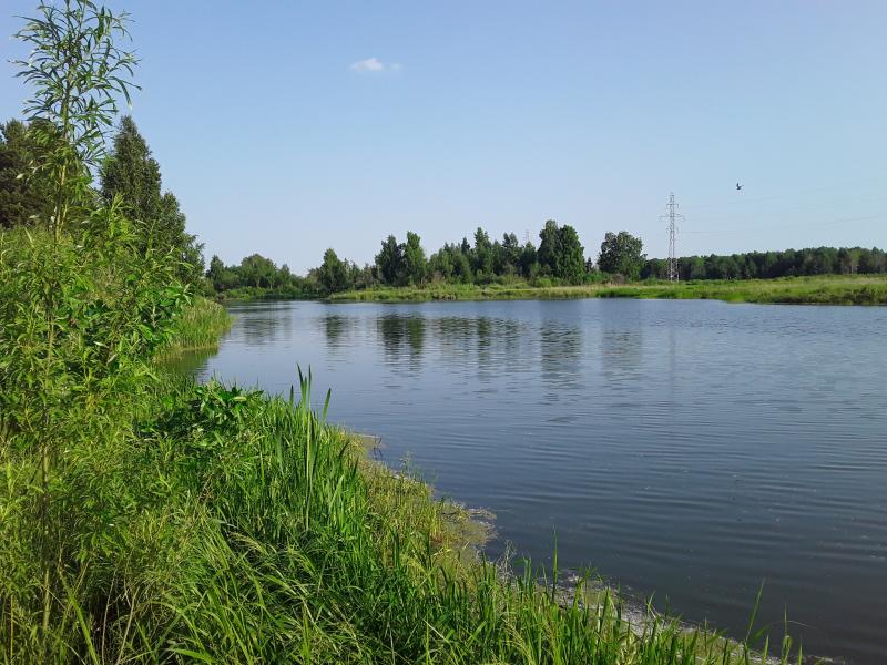 Дача 37 м2, уч. 8,3 сотки. От собственника. Возможна беспроцентная рассрочка!