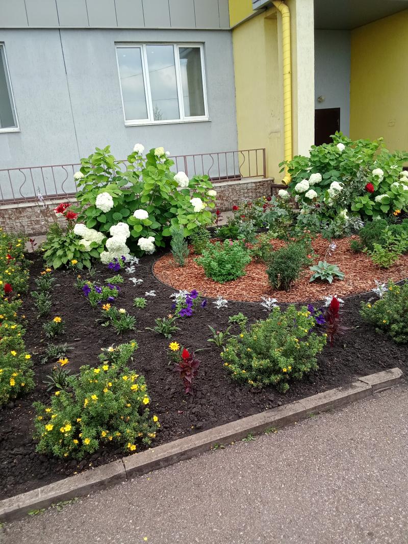 1-к квартира, 36 м2, 3/12 эт.