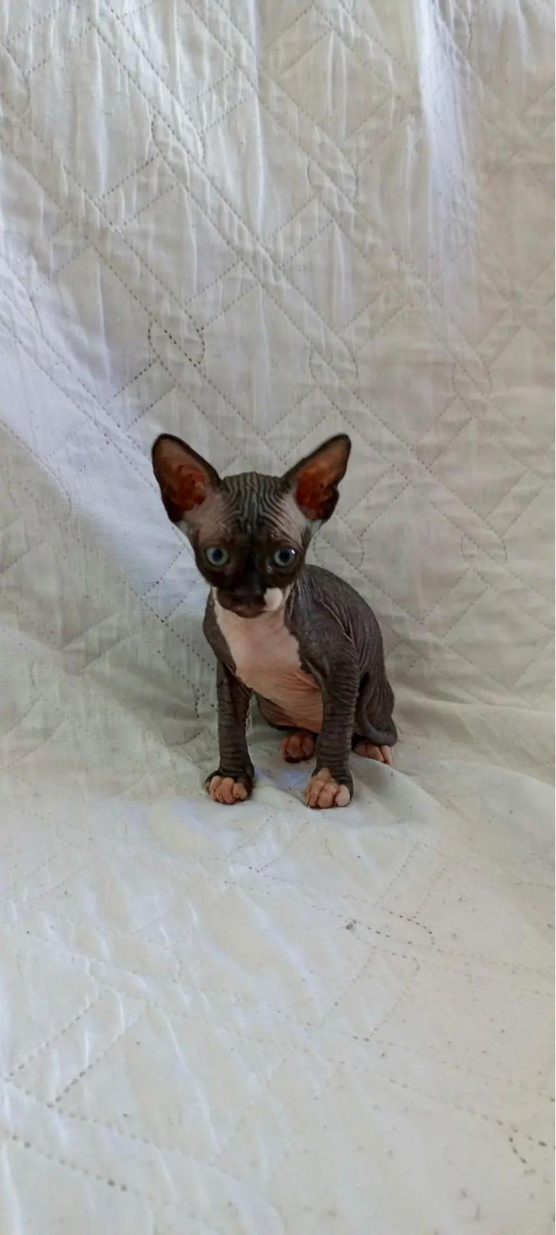 ��������� ������ ��������� �������