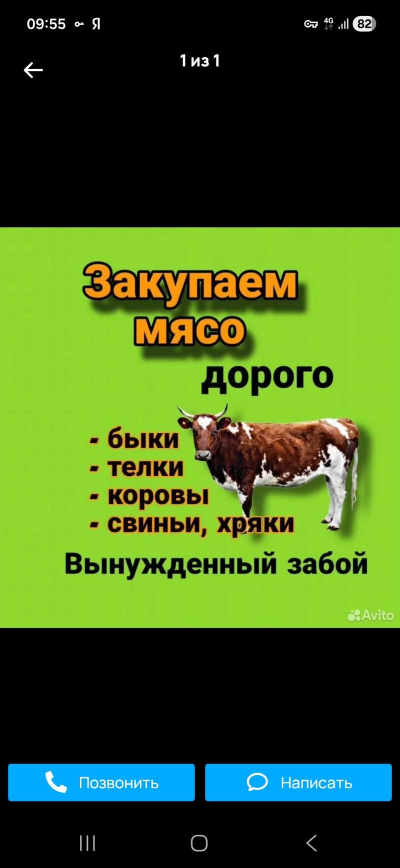 ������� ������