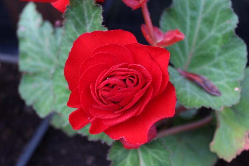 �������������� ����������