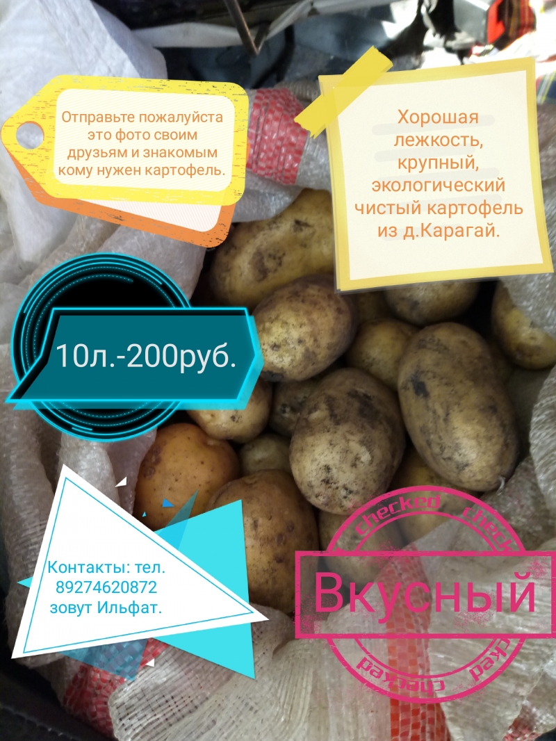 Картофель деревенский