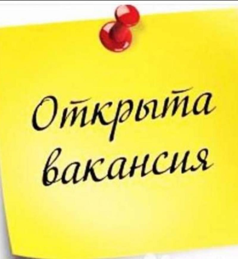 Ищу представителя компании