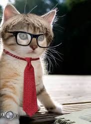 ���������� �� ������