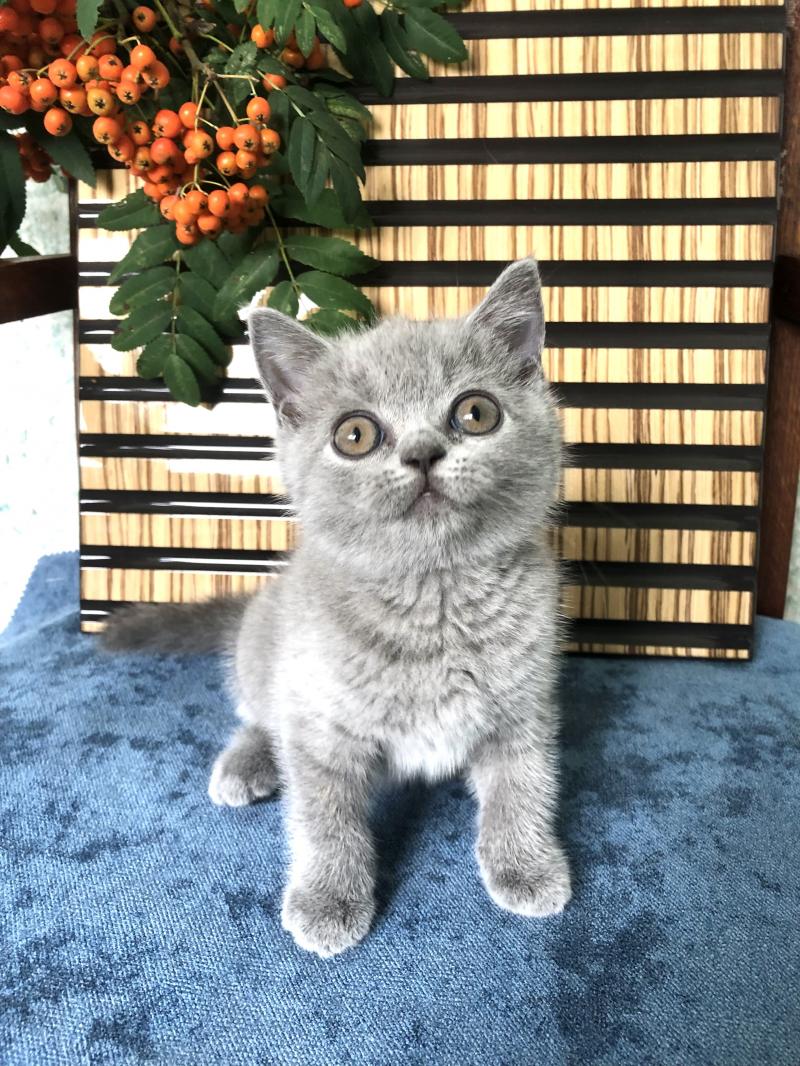 ���������� ������