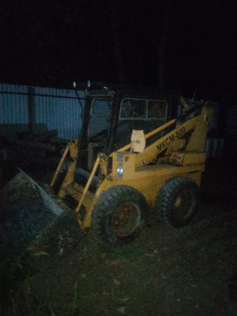   Bobcat