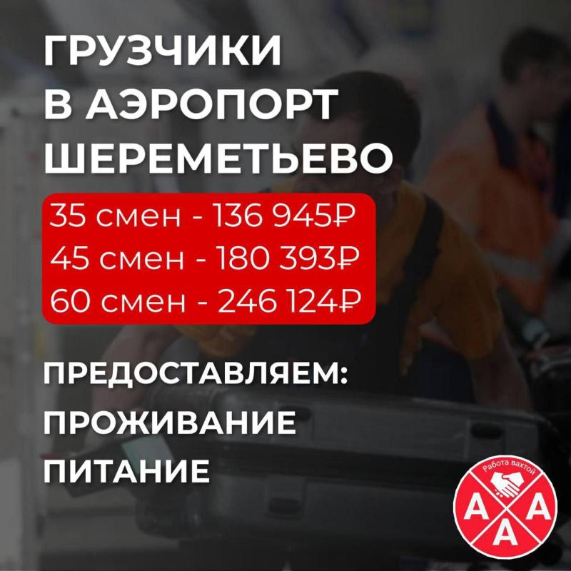 Грузчик. Вахта. Москва. Шереметьево. Сбор тележек