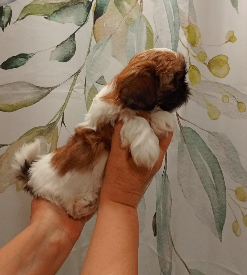 �����