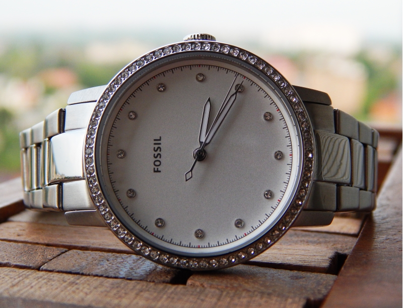 Fossil ES4287
