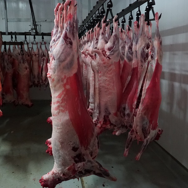 Говядина, баранина, мясо птицы, субпродукты, в ассортименте