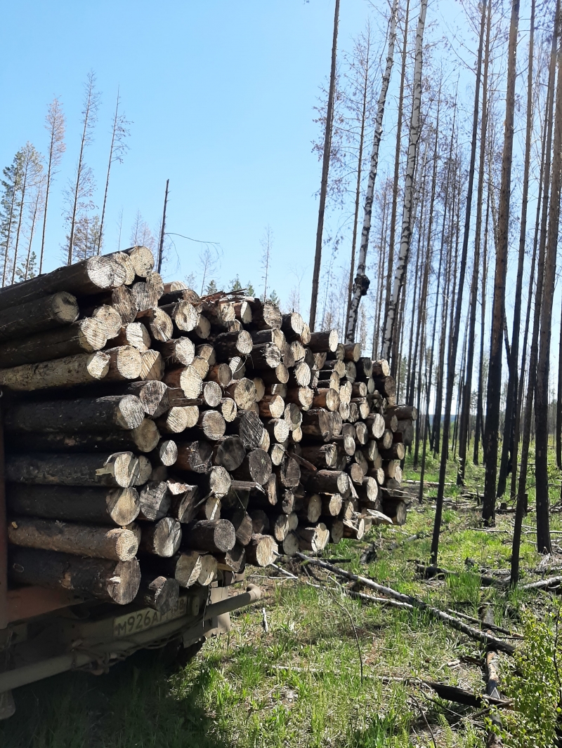 Колоть дрова череповец. Вывозка дров по Калужскому шоссе. Вывозка дровяного ДОЛГОТЬЯ КОМЕРЧЕСКОН. Вывозка дровяного ДОЛГОТЬЯ коммерческое. Исторические фото вывозка дров по Калужскому шоссе.