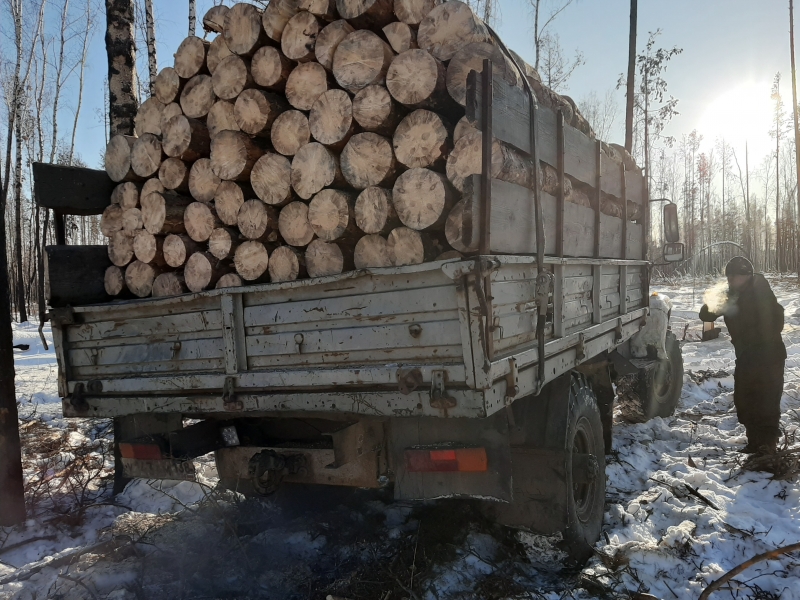 Купить Дрова В Горках Могилевской Области