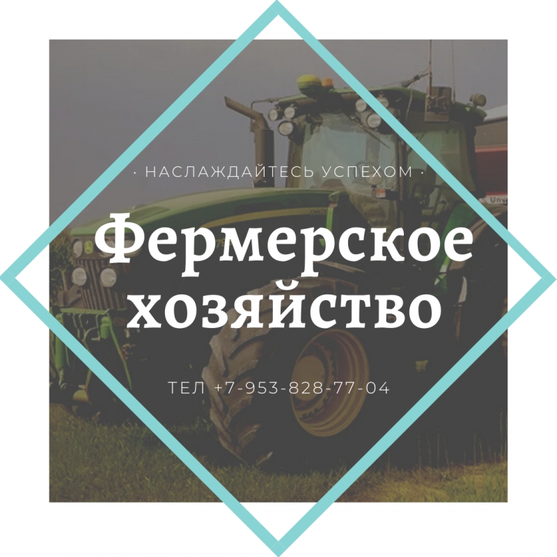 Фермерское хозяйство