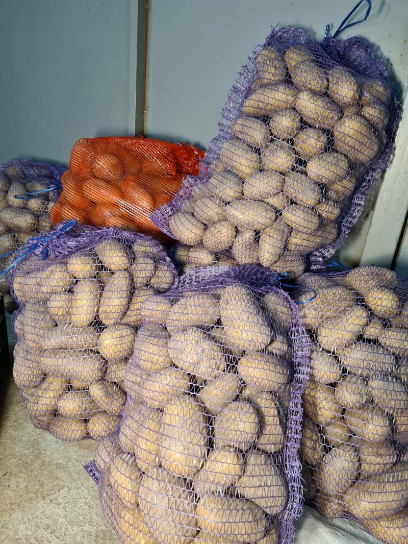 Картофель домашний