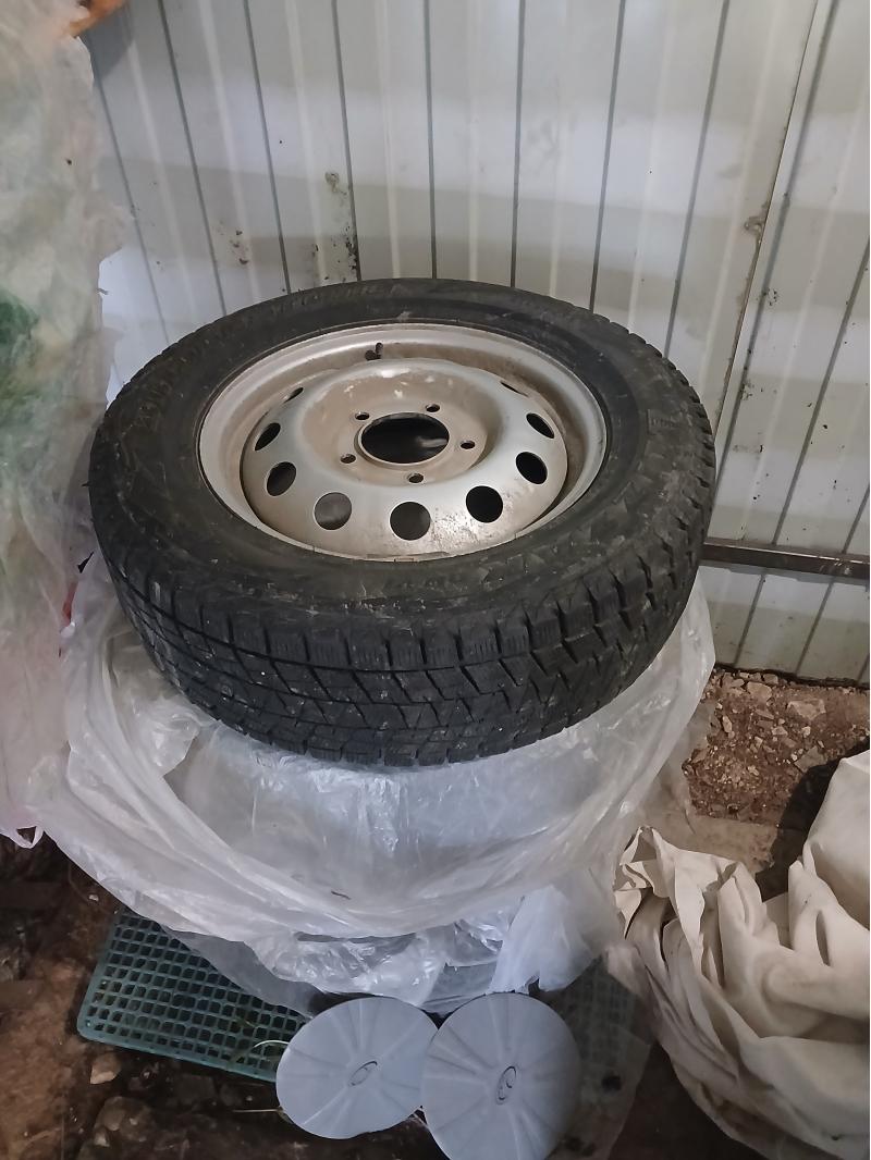 ������ ������ � �������