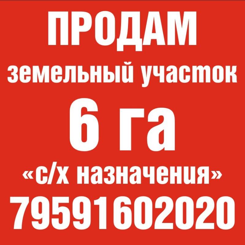 ������   6�� ����� �/� � ������ �������