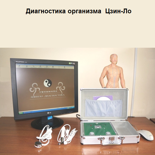 Компьютерная диагностика организма Цзин-Ло. Метод Накатани.
