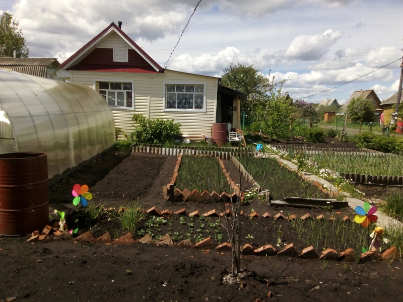 Найти продажу садов