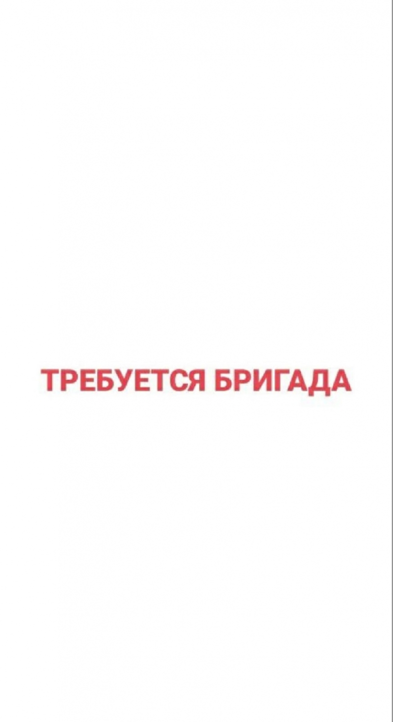 Требуется бригада для разработки делянки