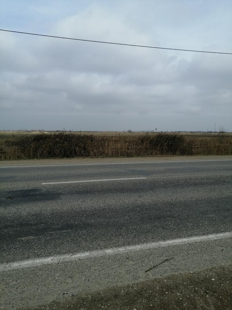 3 гектара