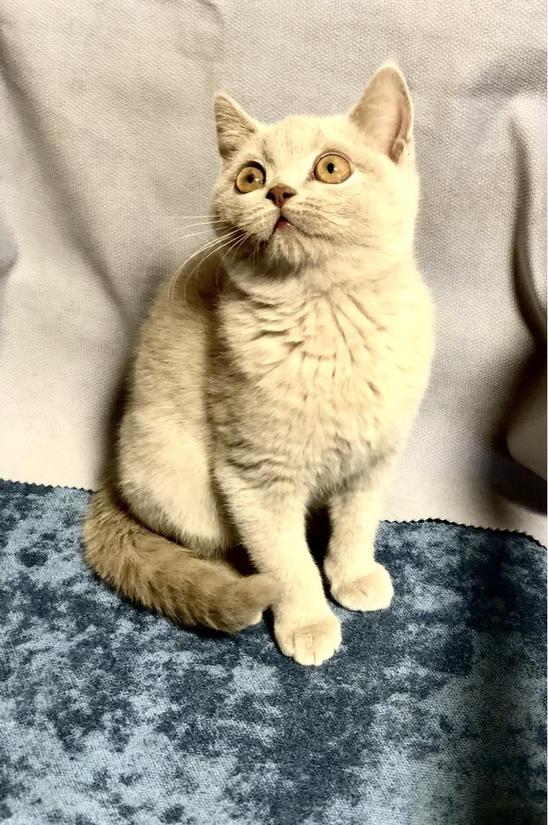 ���������� ������ �� ���������