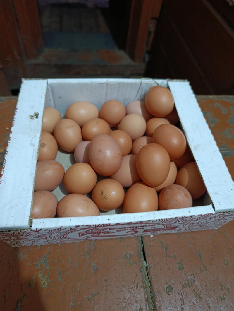 Яйца деревенские