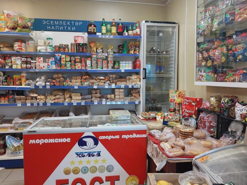 Действующий бизнес