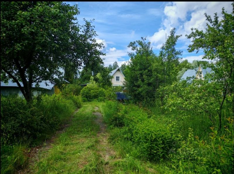 Прекрасный дом с большим участком в природоохранной зоне в 15 мин от метро.