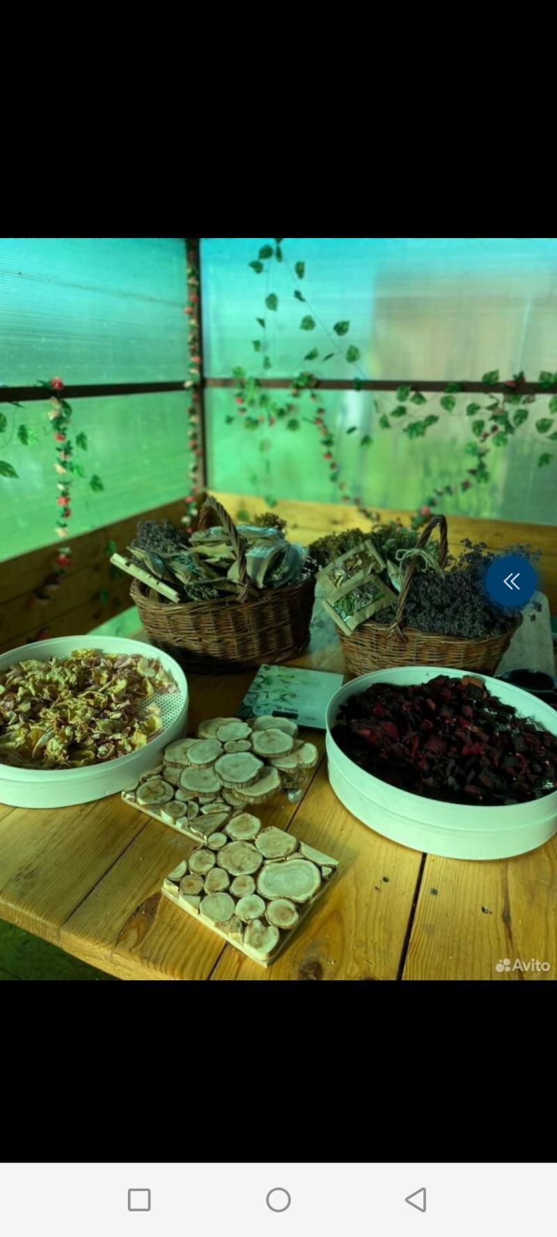 Травы, чаи, сборы