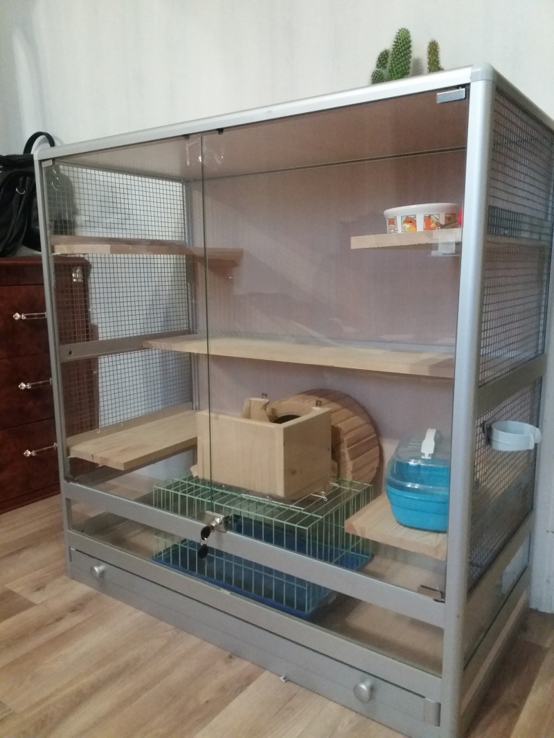 Клетка