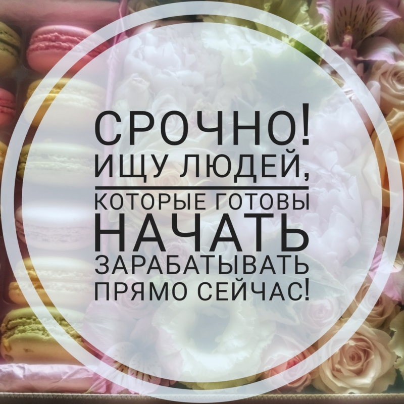 Заместитель руководителя по оптовым продажам