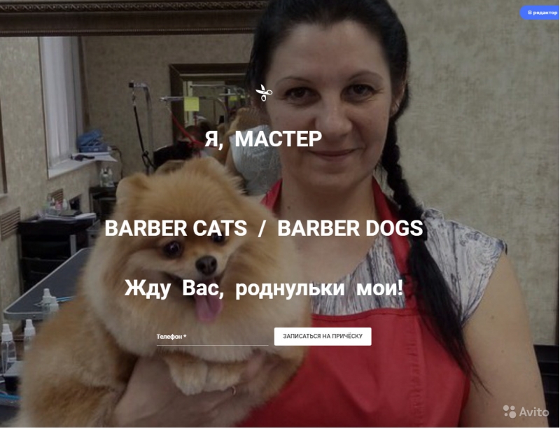 МУРКА. Груминг. Стрижка собак,кошек. Новосибирск