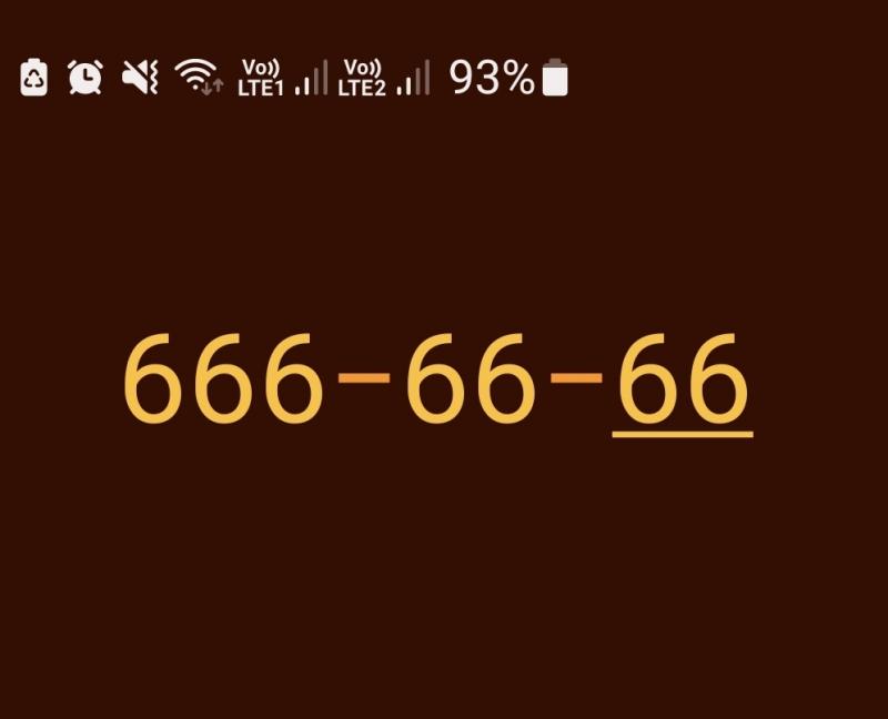    666-66-66