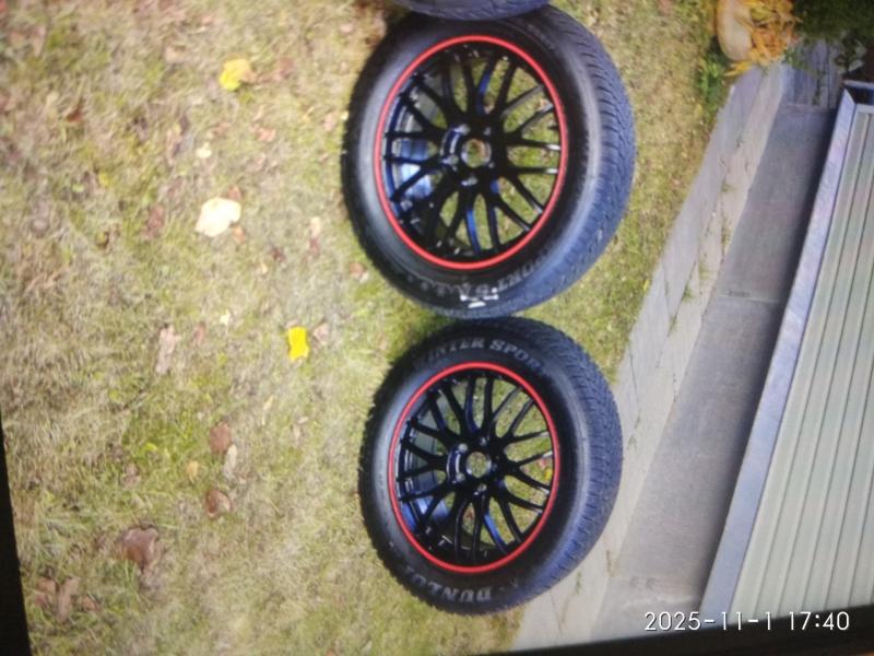 ������ ������