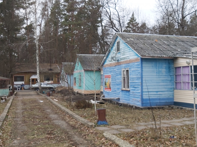 Сдам в аренду
