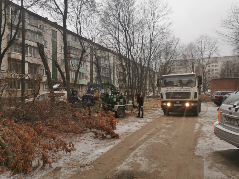 спил и кронирование деревьев