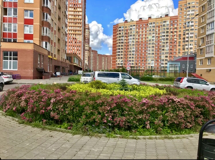 1-к квартира, 24 м2, 1/15 эт.