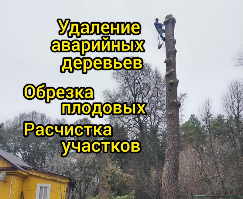 Спил вырубка обрезка деревьев Расчистка участков Покос травы Калуга