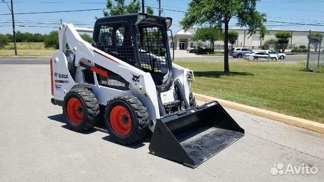 Bobcat