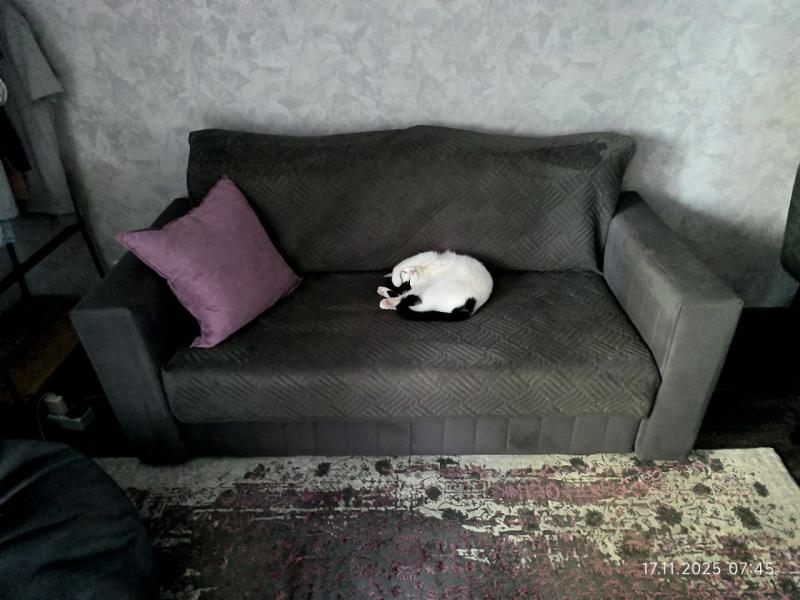 �����-�����