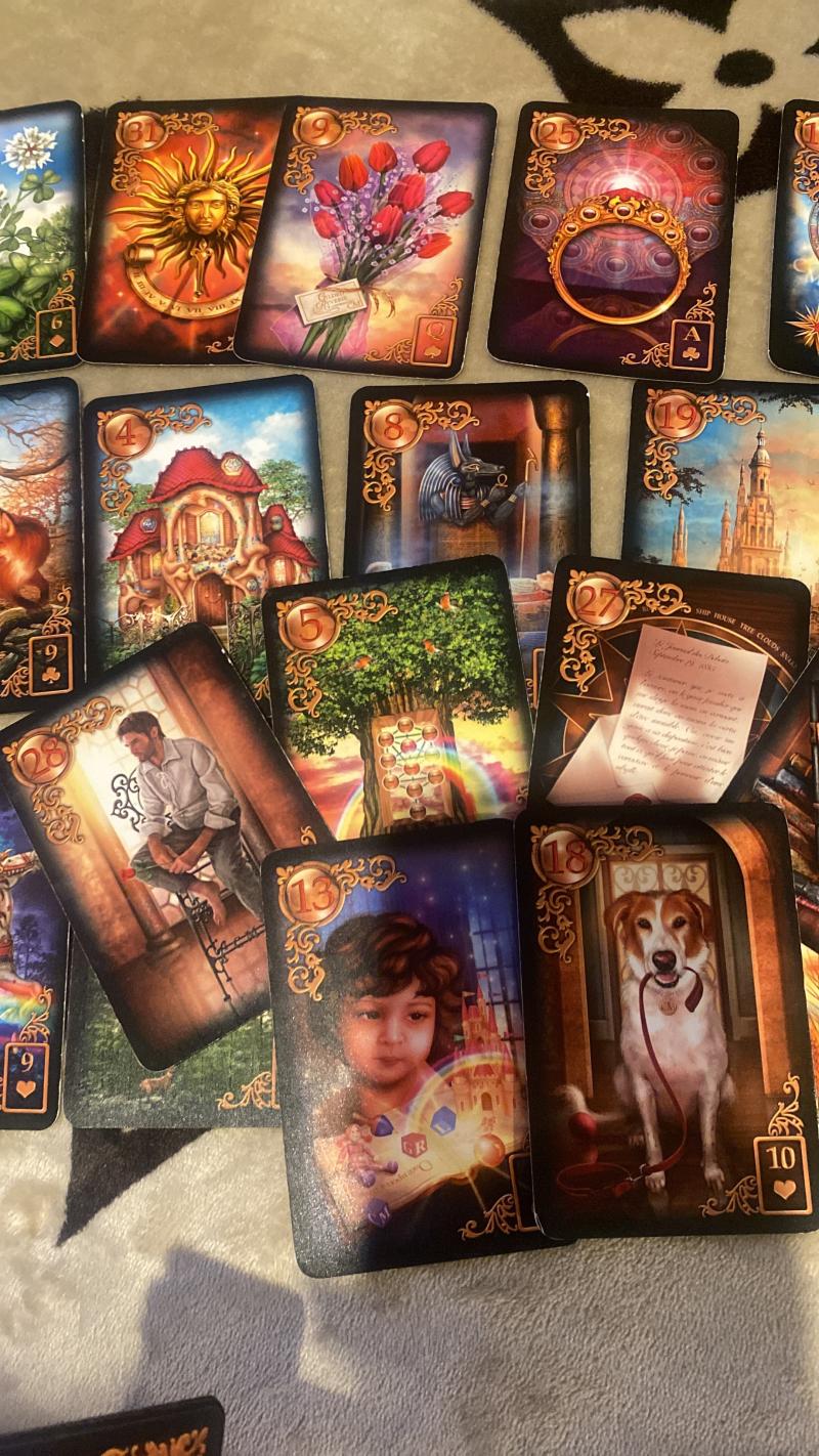 ���� ����� ��������